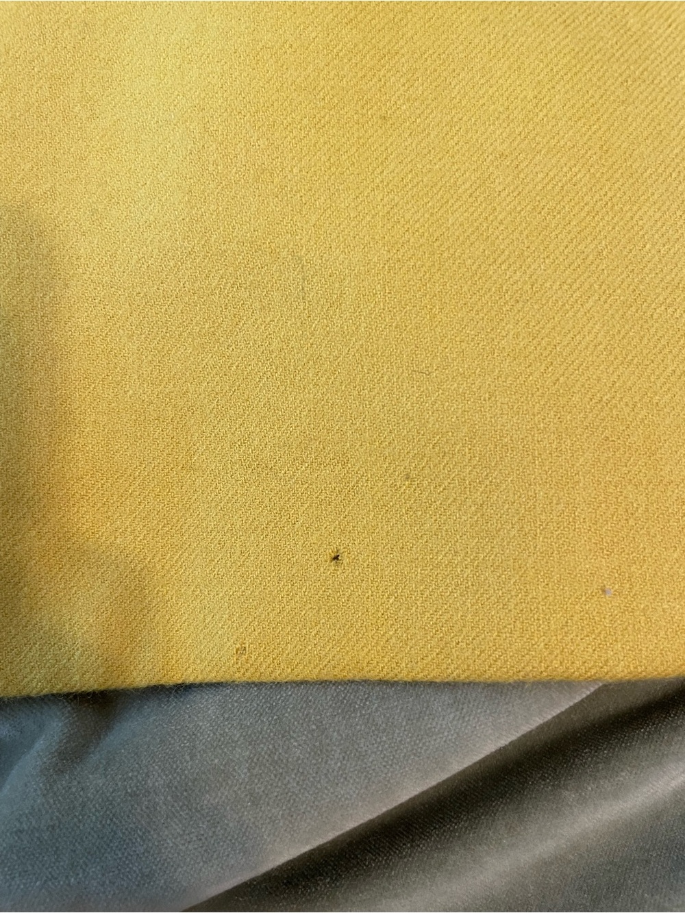 J. Crew Mustard Yellow Pencil Skirt - Picture 4 of 5
